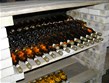 Pobytový zájezd - Maďarsko - Tokaj - lahve proslulého tokajského, vína které stojí za ochutnání 