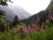 Pohodové týdny v horách s turistikou - Itálie - Přímořské Alpy -  Valley del Valasco