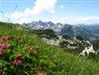 Pohodové týdny v horách s turistikou - Slovinsko - Julské Alpy - horský hřeben Vogelu