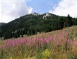 Pobytové zájezdy - Pobyty u moře s výlety - Chorvatsko - pohoří Velebit