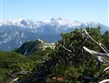 Pohodové týdny v horách s turistikou - Slovinsko - Julské Alpy - Triglav přes kosodřevinu