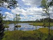 Pohodové týdny v horách s turistikou - Německo - Schwarzwald - Kaltenbronn Wildsee