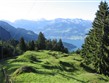 Pohodové týdny v horách s turistikou - Švýcarsko, Vierwaldstetter see