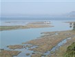 Pohodové týdny v horách s turistikou - Albánie - Skadarské jezero je lemováno mokřinami a rákosinami