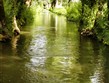 Pobytový zájezd - Francie, Atlantik, Poitouovské močály