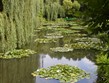 Pobytový zájezd - Francie -  Normandie - Giverny, Monetova zahrada kde vznikaly jeho světoznámé obrazy
