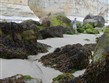 Pobytový zájezd - Francie, Normandie, malebná pláž za odlivu