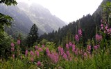 Pohodové týdny v horách - Itálie - Přímořské Alpy -  Valley del Valasco