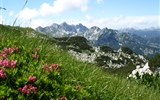 Pohodové týdny v horách - Slovinsko - Julské Alpy - horský hřeben Vogelu